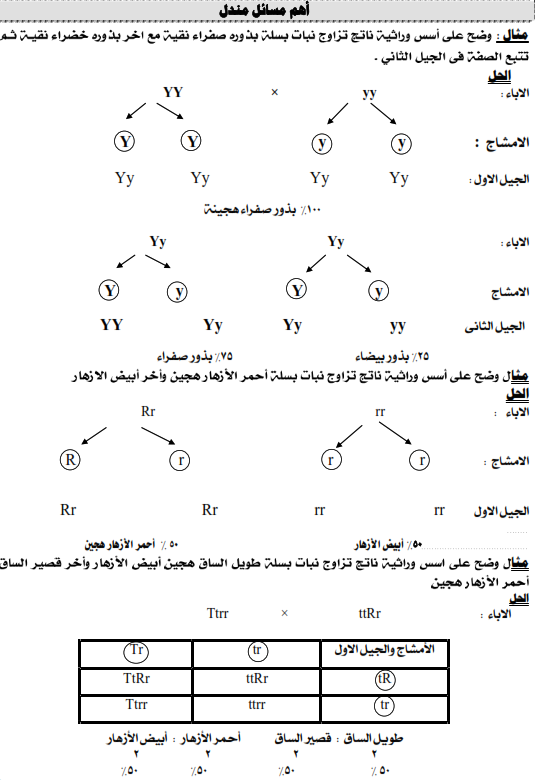 مراجعة نهائية علوم تالته اعدادي7